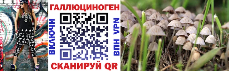 omg онион  Гдов  Псилоцибиновые грибы прущие грибы 